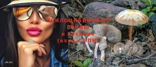 не бодяженный Алзамай
