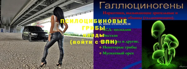 не бодяженный Алзамай