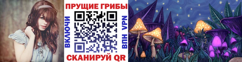 Псилоцибиновые грибы Magic Shrooms  Новоуральск 