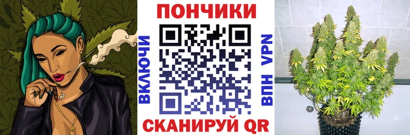 Шишки марихуана марихуана  Новоуральск 